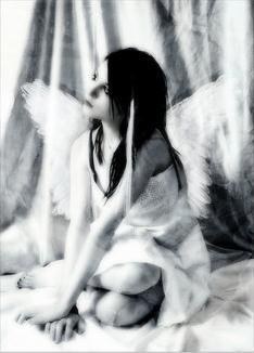 ange666